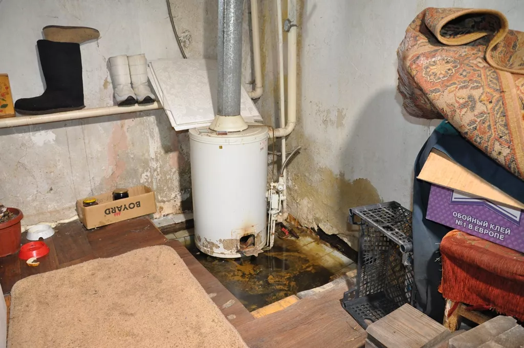 DSC_0228.JPG DSC_0228.JPG