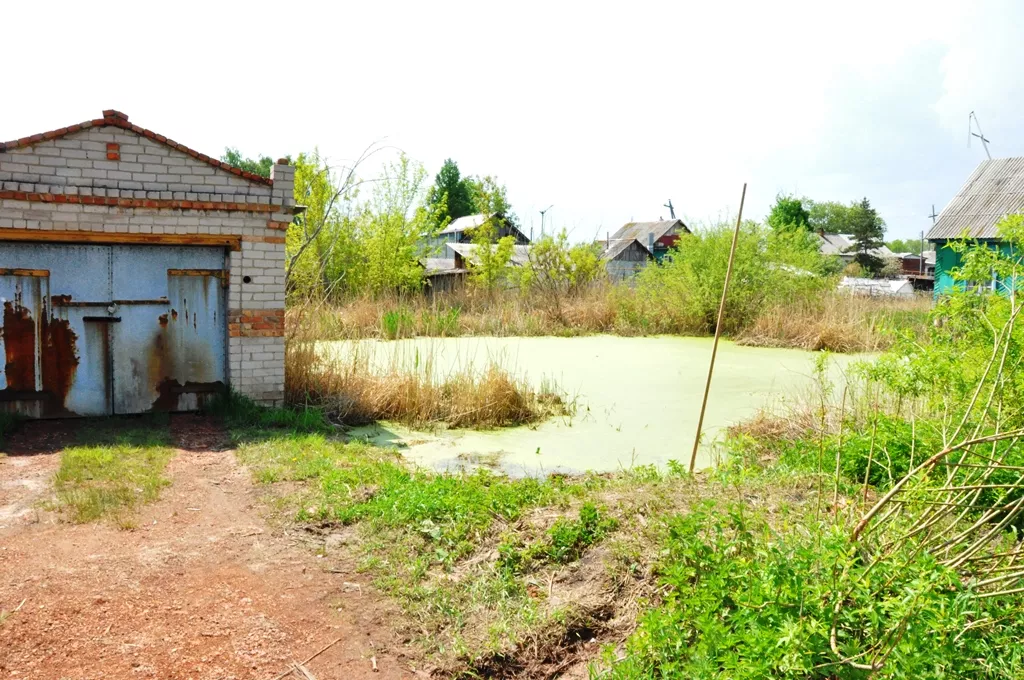 DSC_0003.JPG DSC_0003.JPG