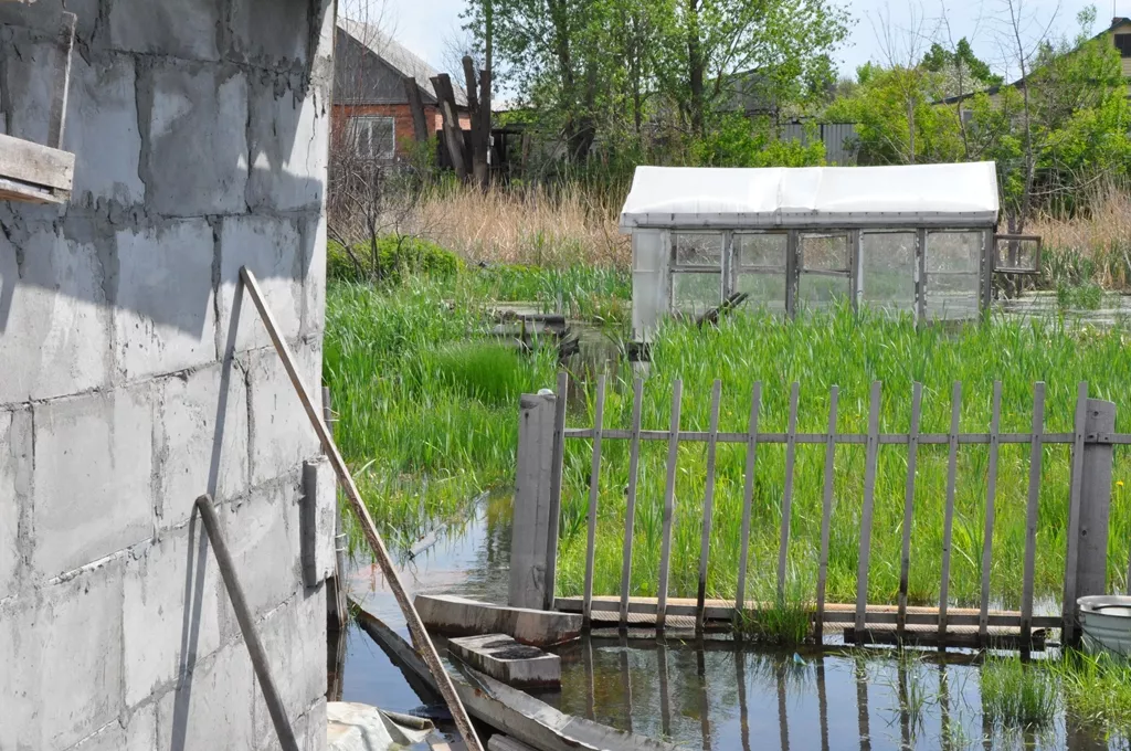 DSC_0224.JPG DSC_0224.JPG