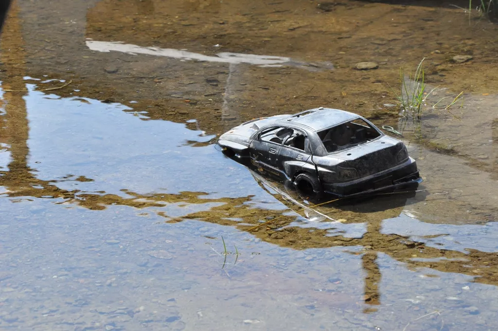 DSC_0215.JPG DSC_0215.JPG