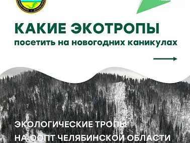 Новогодние каникулы – отличное время для путешествий!