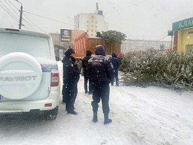 Сотрудники органов внутренних дел провели рейды по проверке законности продажи елей в Челябинской области