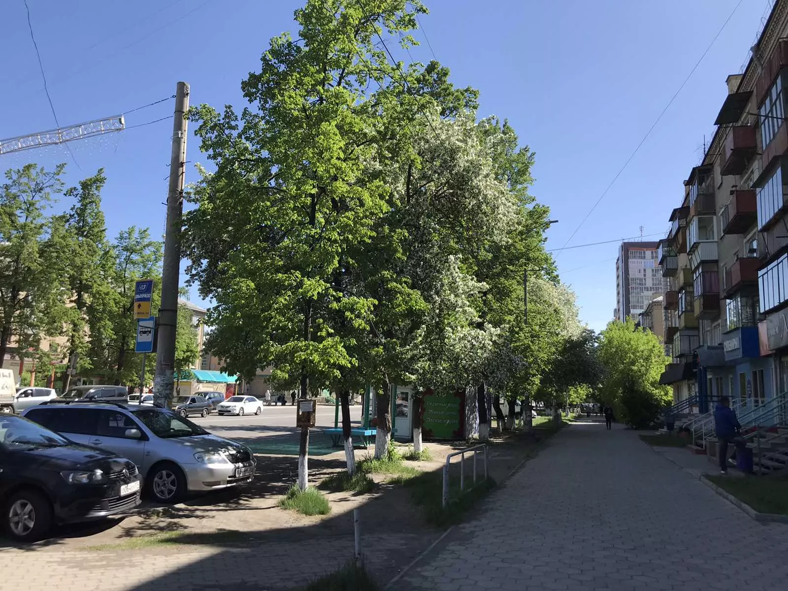 В Копейске за весь период пандемии заболели коронавирусом 315 жителей