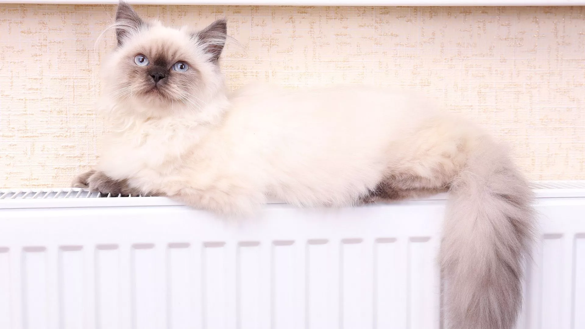 30 сентября: какие адреса попадают сегодня под отключение отопления