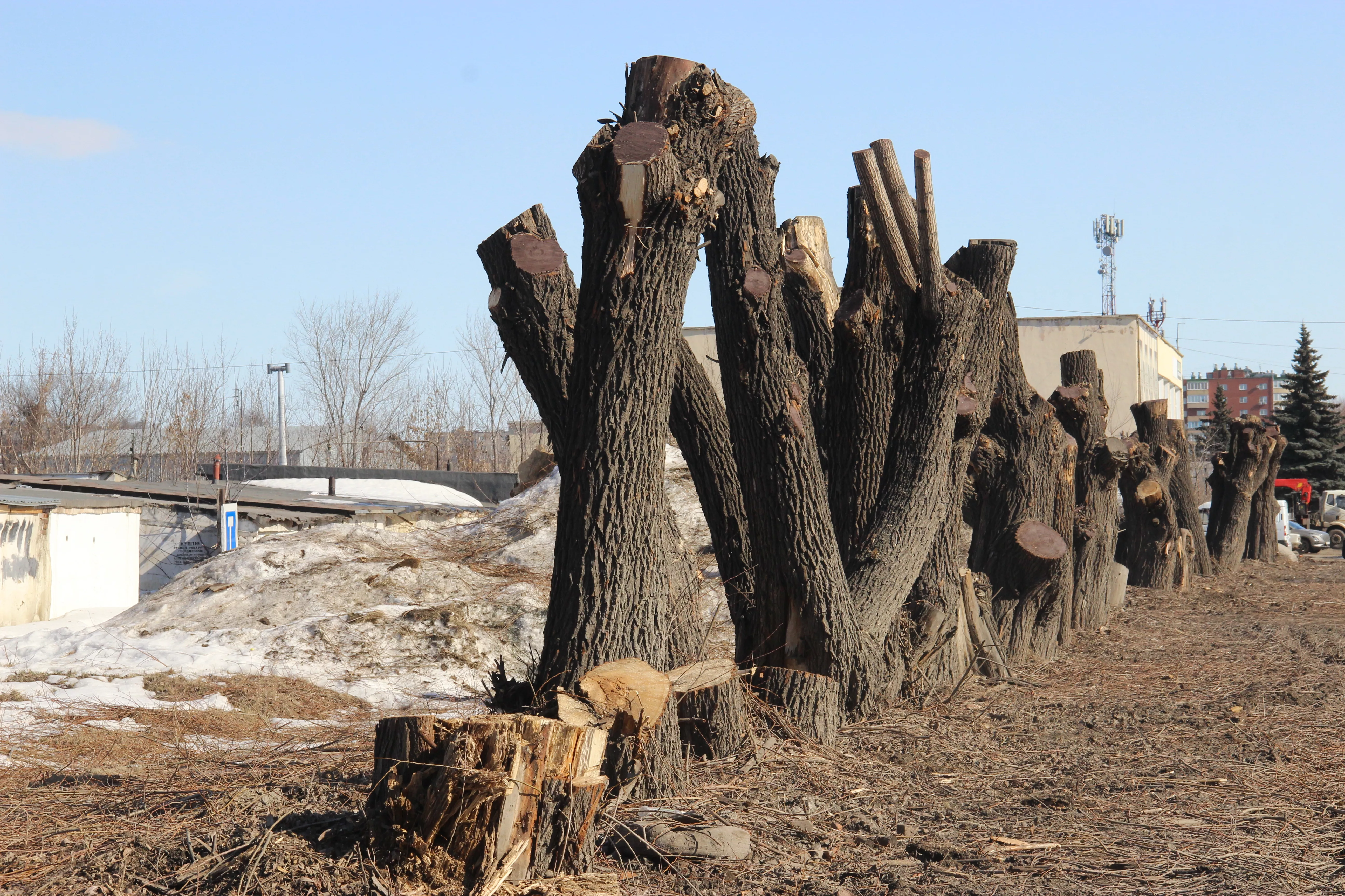 В Копейске идут работы по опиловке территорий