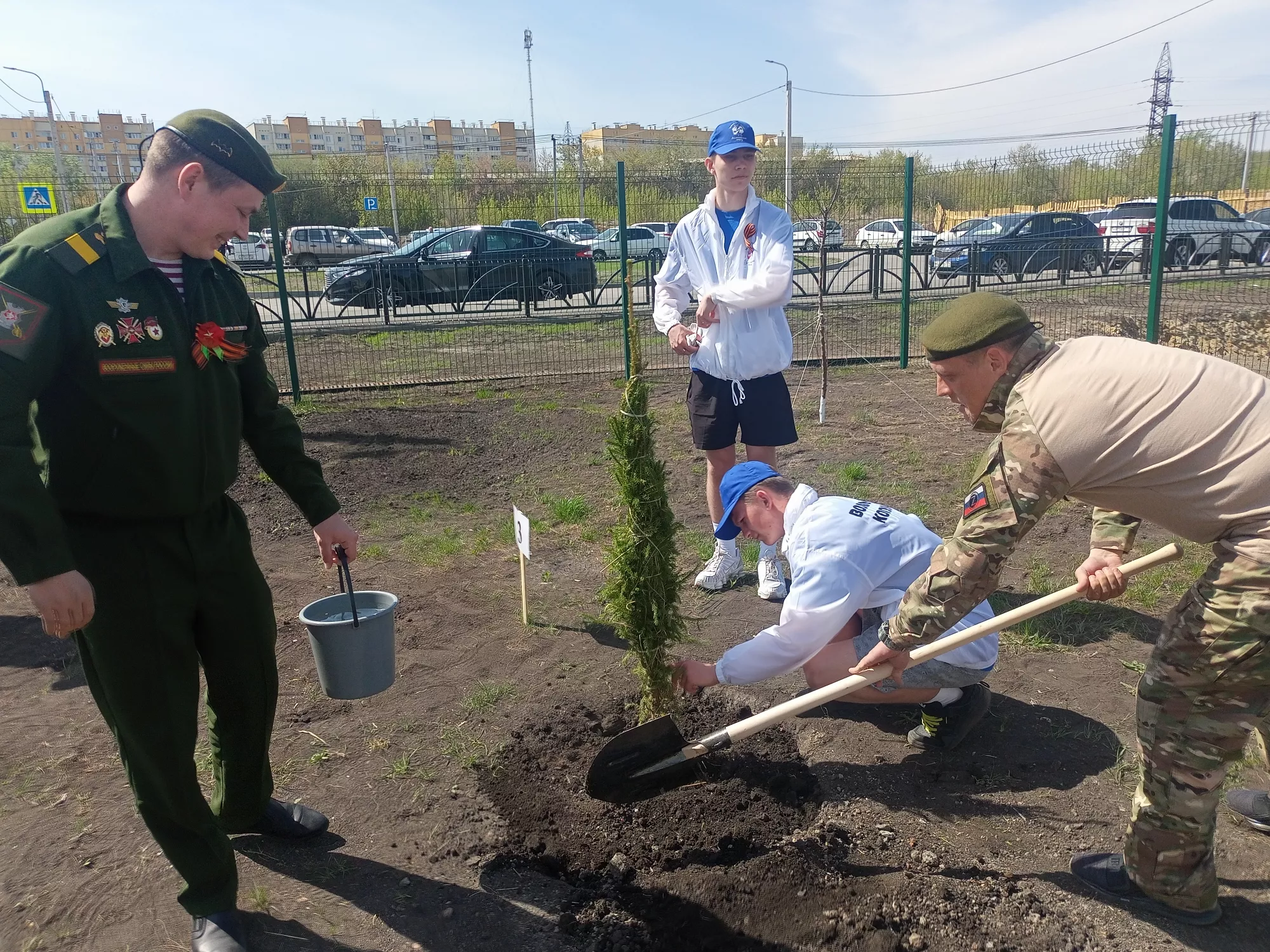 В школе №16 прошла высадка Аллеи Славы