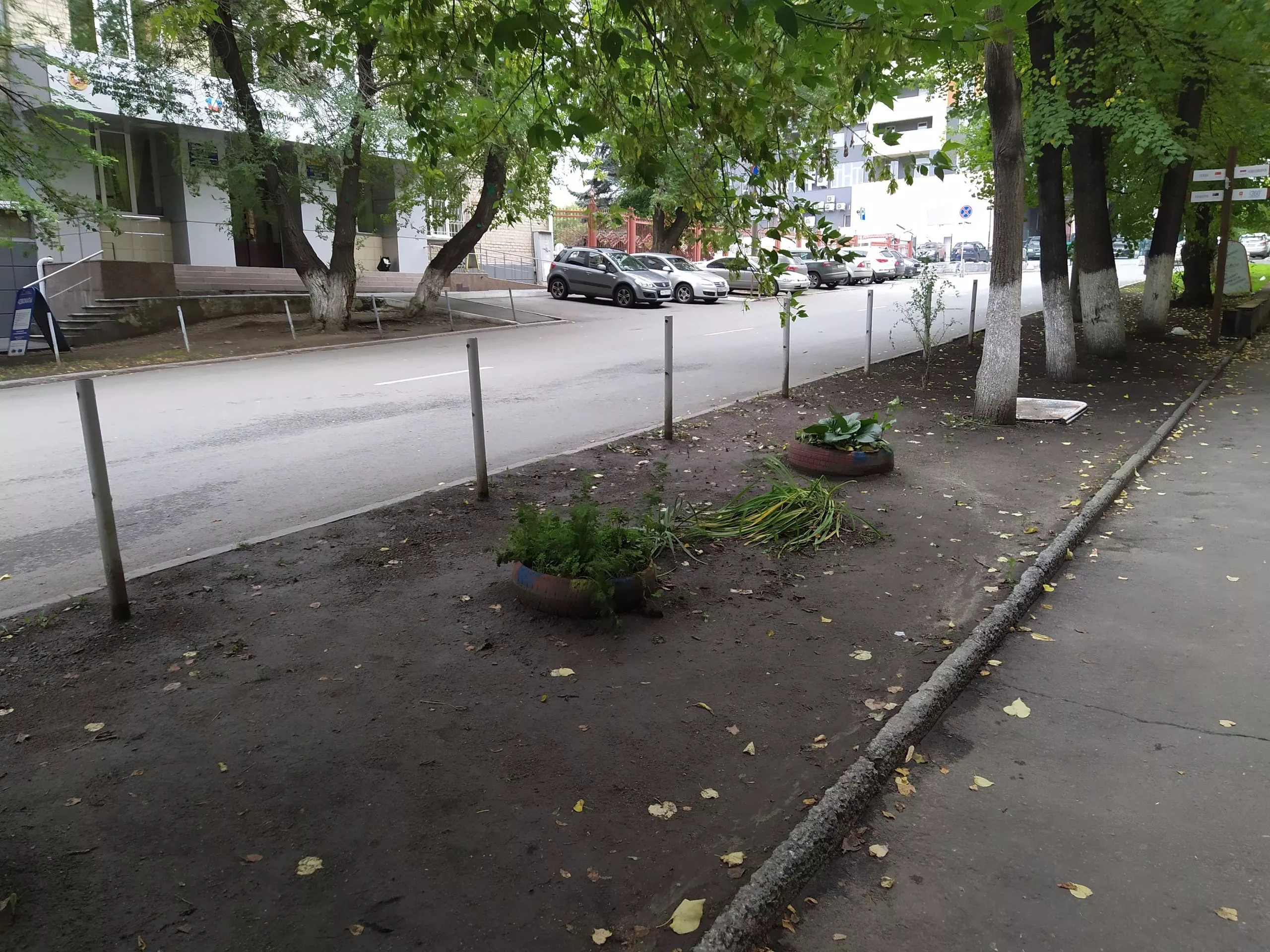 Глава Копейска дал поручение заняться газонами на главных улицах