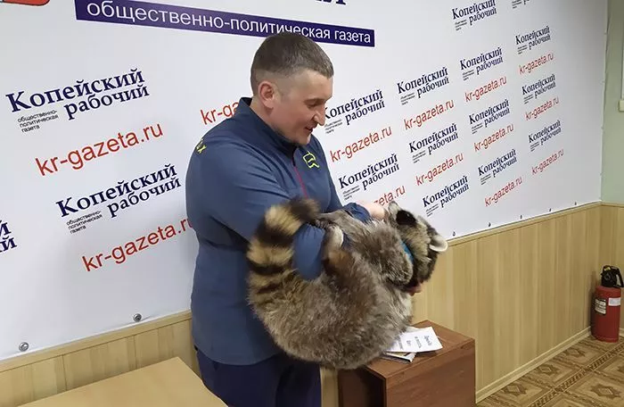 Еноту Вите исполнился 1 год