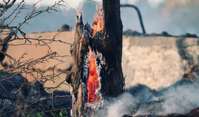 За что можно получить штраф в 400 тысяч рублей в пожароопасный период