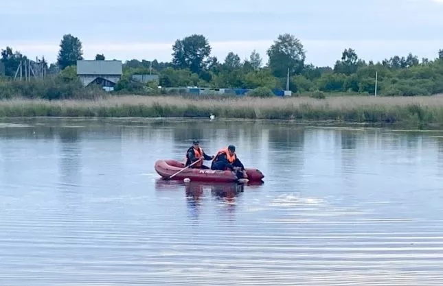 Два мужчины утонули в Чебаркульском районе при спасении лебедей