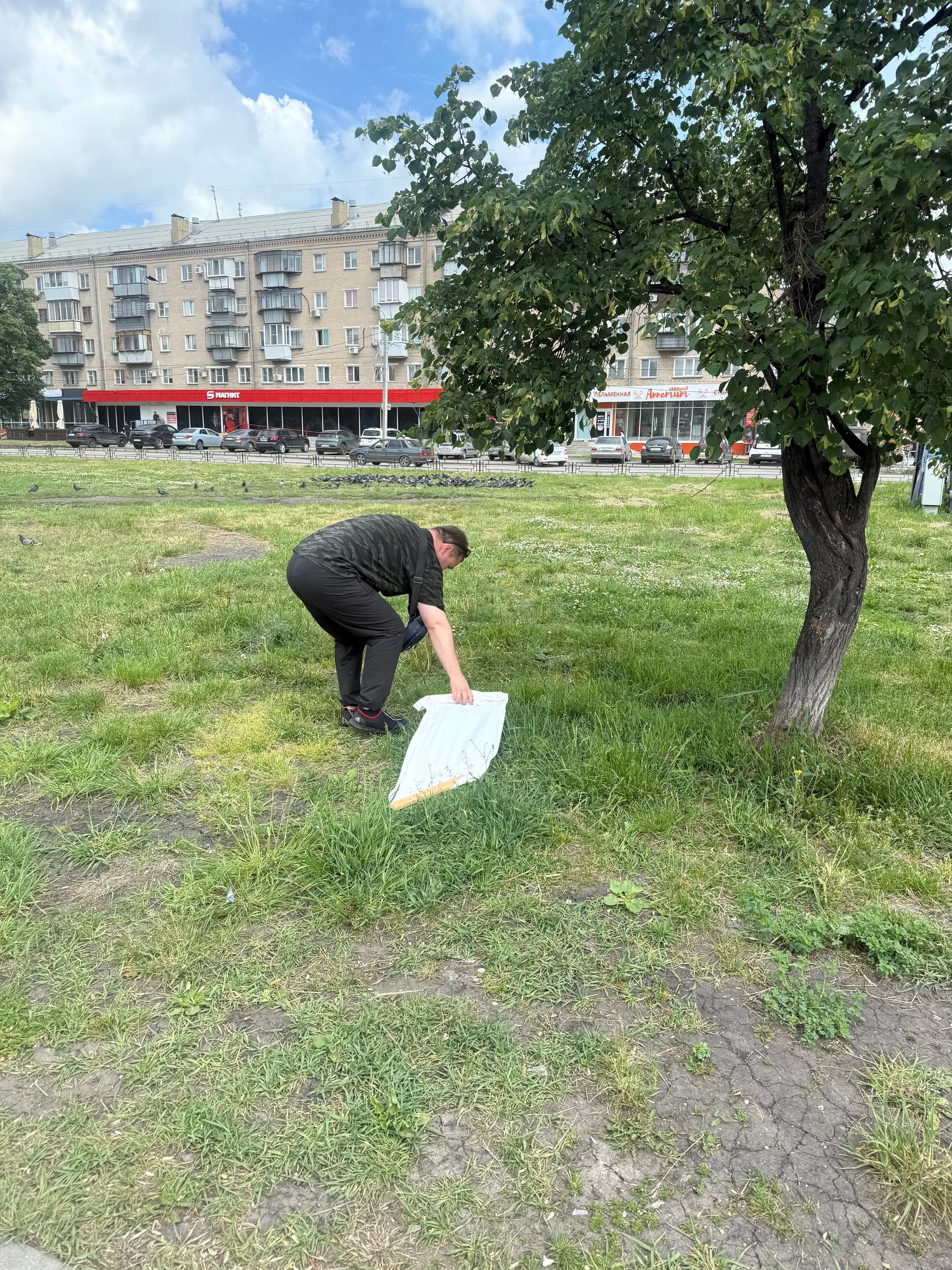 В Копейске можно спокойно гулять по парку и скверу