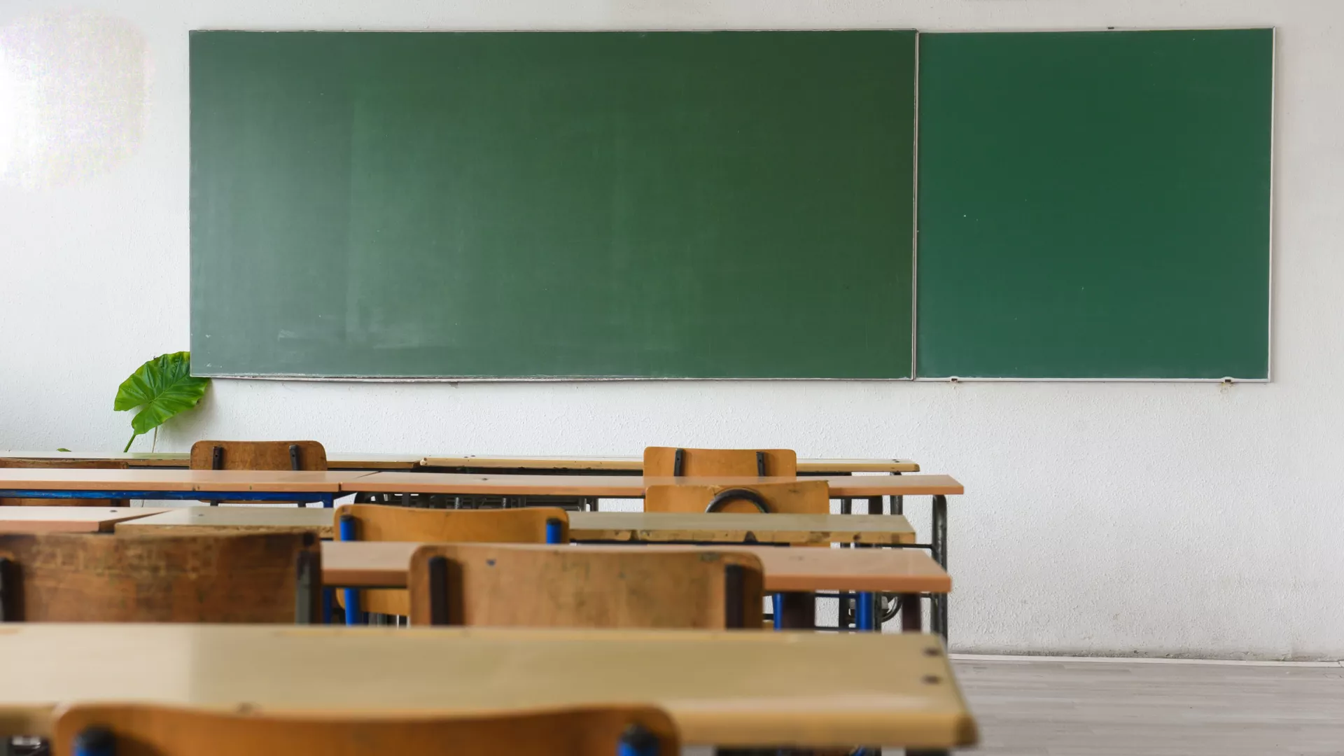 Двадцать шесть южноуральских школ отмечены Российским советом олимпиад школьников за подготовку юных талантов