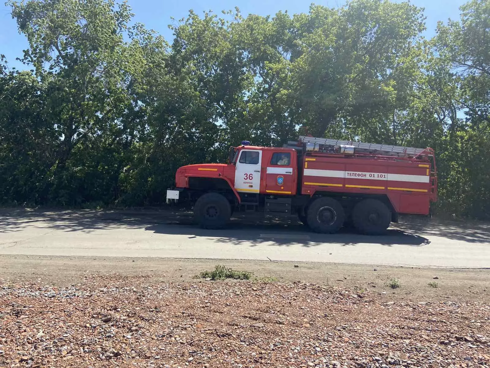 В детском лагере Южного Урала эвакуировали детей