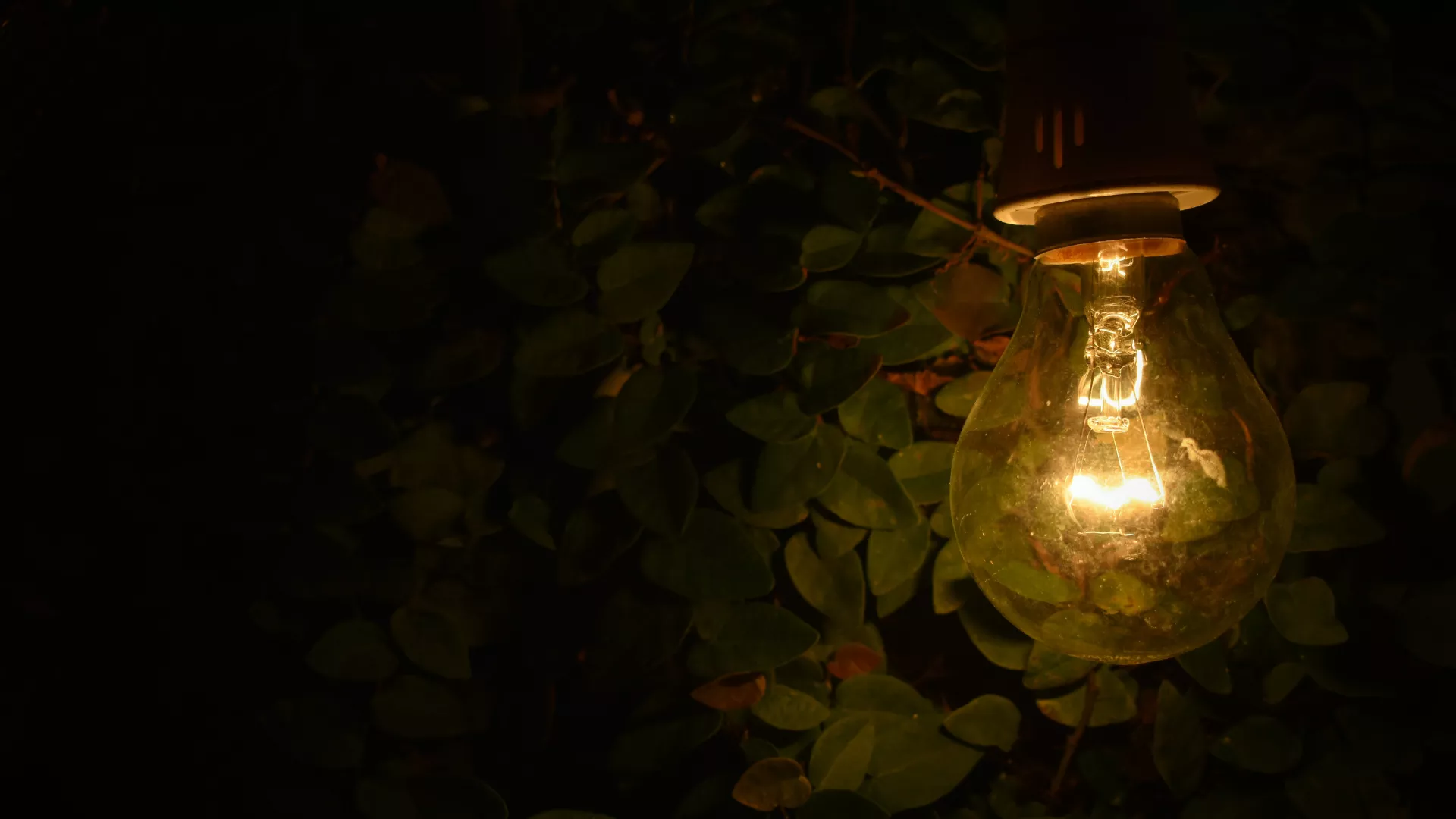 29 ноября: в связи с ремонтом не будет электроэнергии. Какие адреса попадут под отключение?