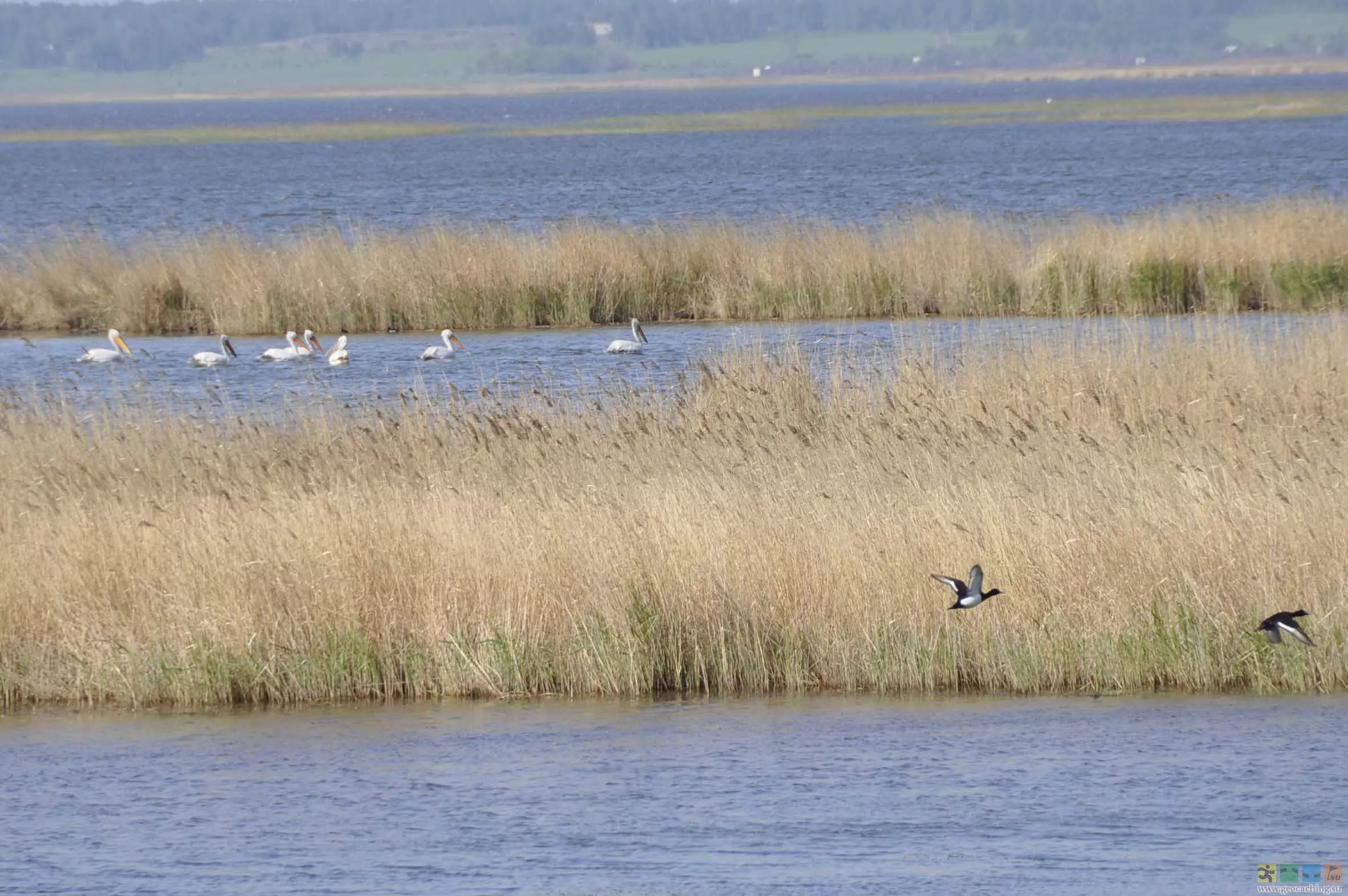 Стоимость реконструкции очистных сооружений на Курладах составит 4-5 млрд рублей