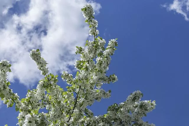 Дождь закончится к обеду 23 июня. В четверг потеплеет до +24 градусов