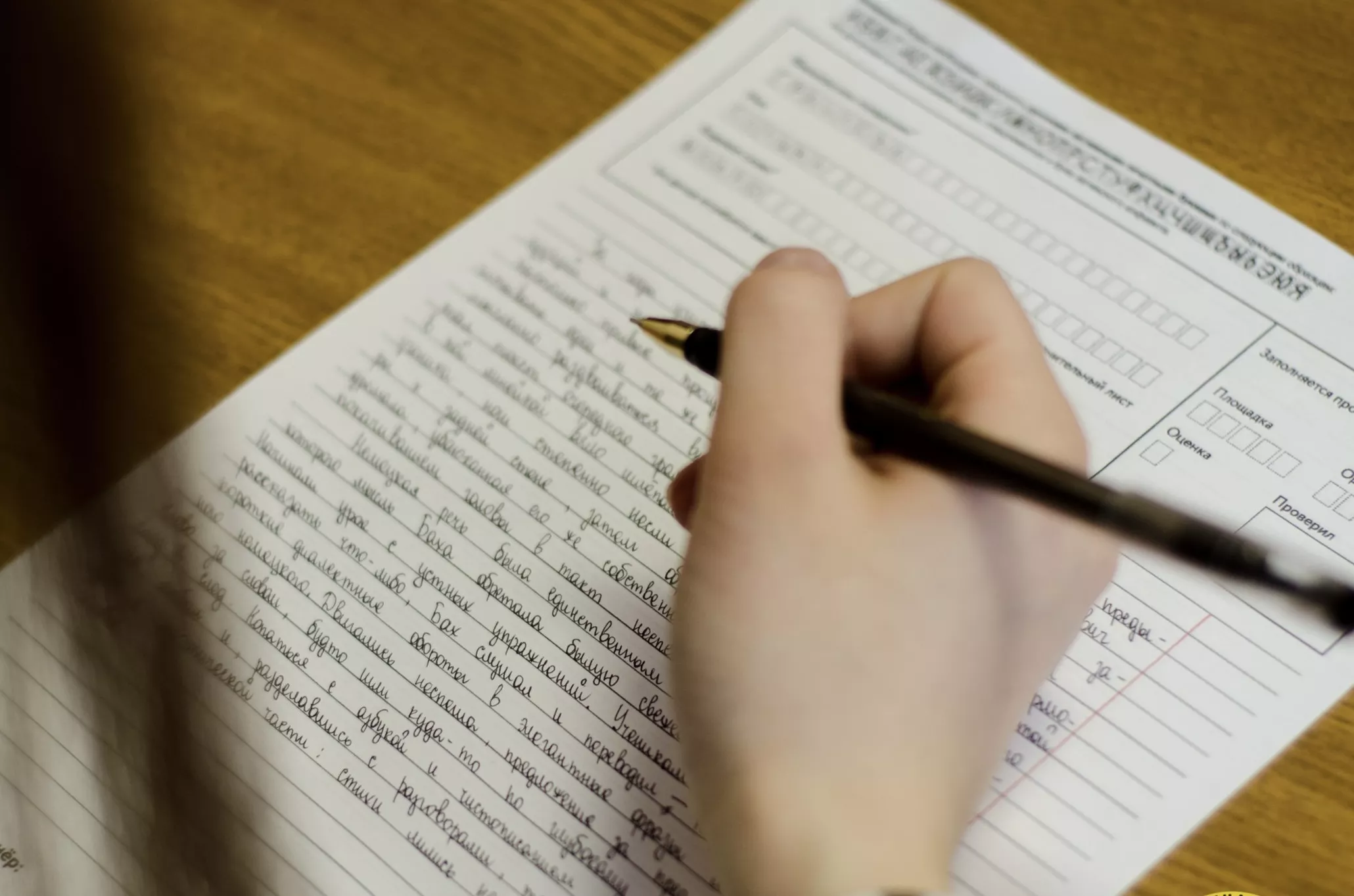 Тотальный диктант в ИТ-лицее Привилегия прочитает Ирина Текслер