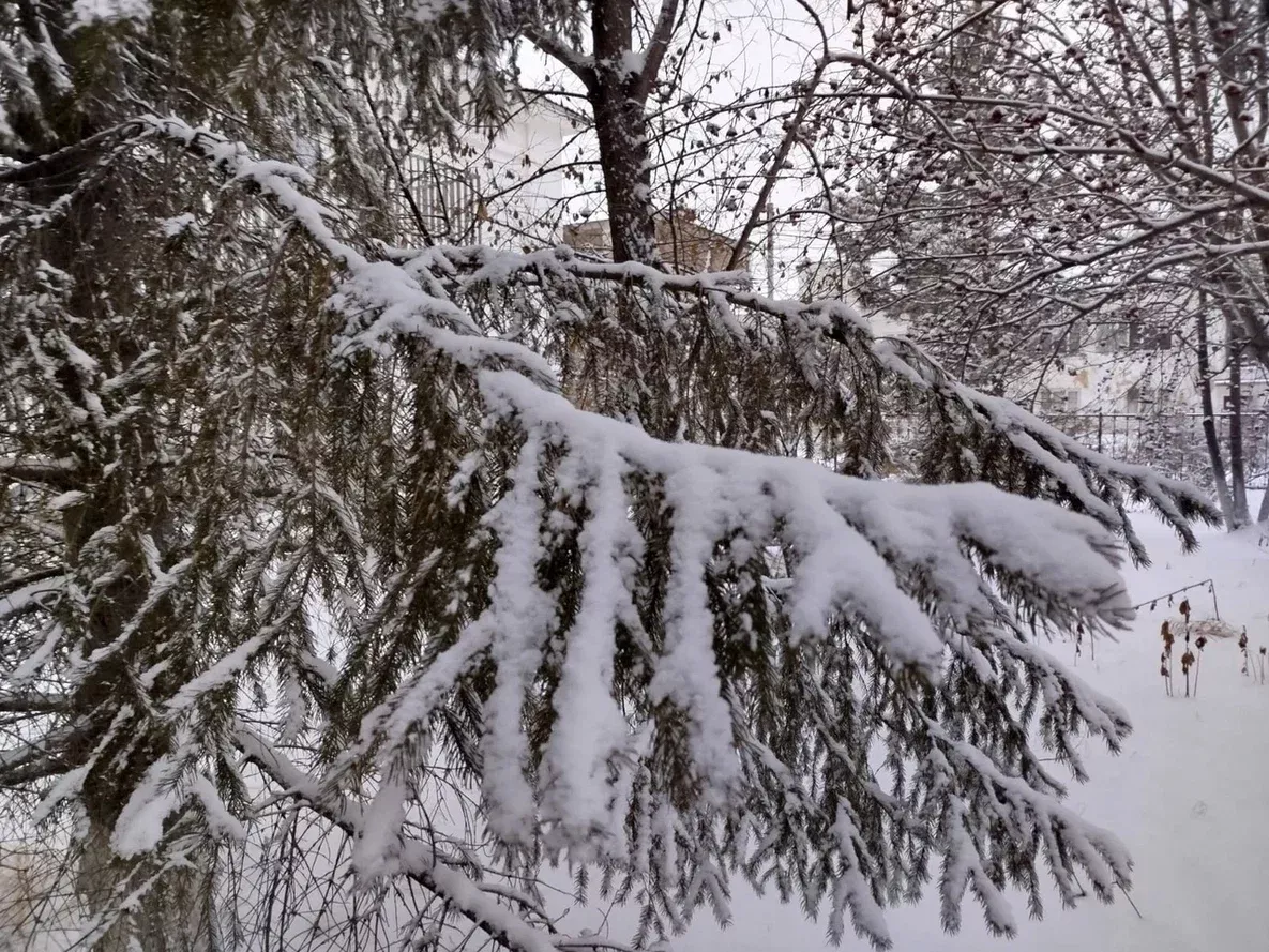 Водителей Челябинской области призывают к осторожности из-за ухудшения погоды