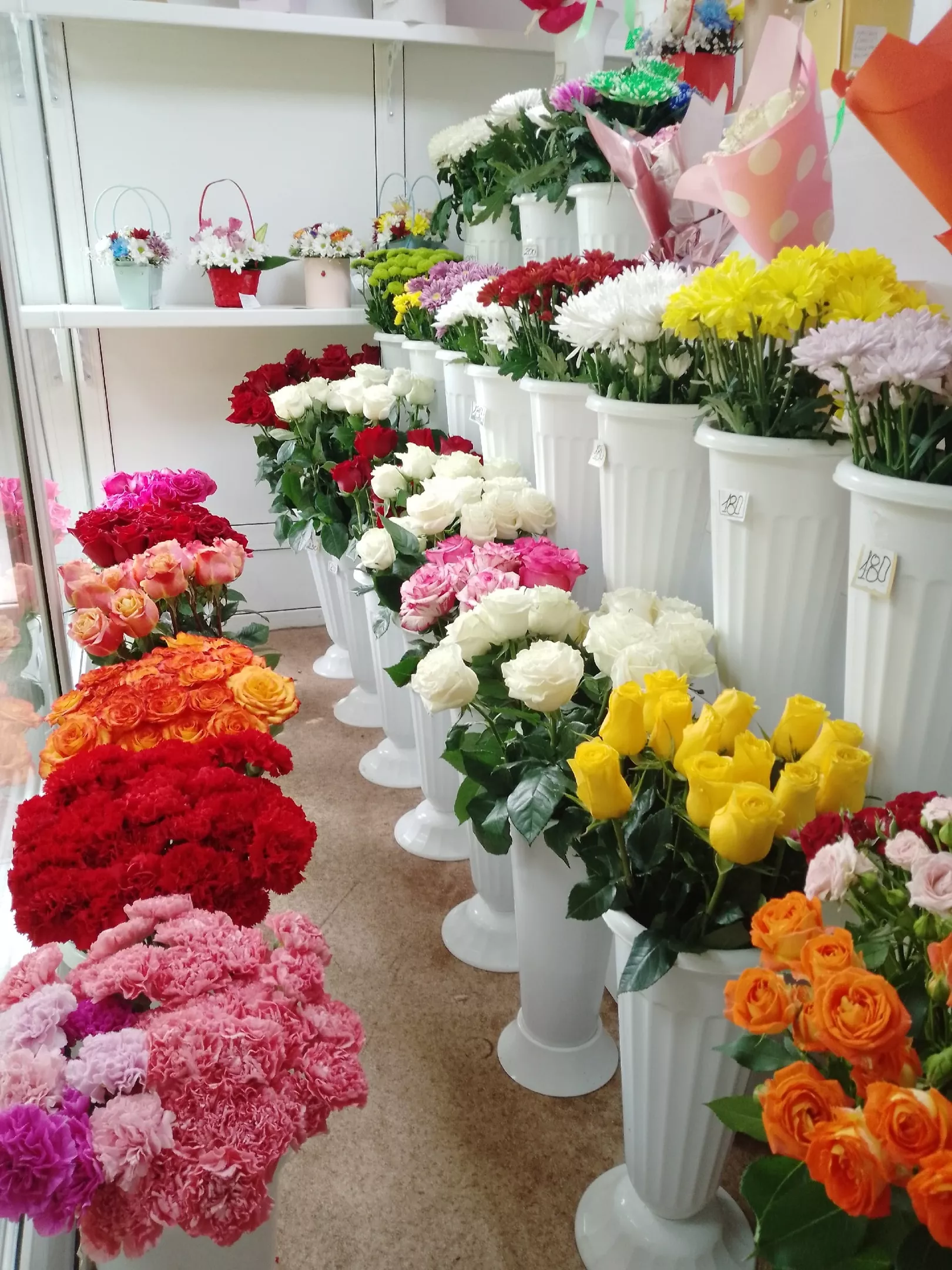 Каждый день косой срез и чистая вода с кусочками льда