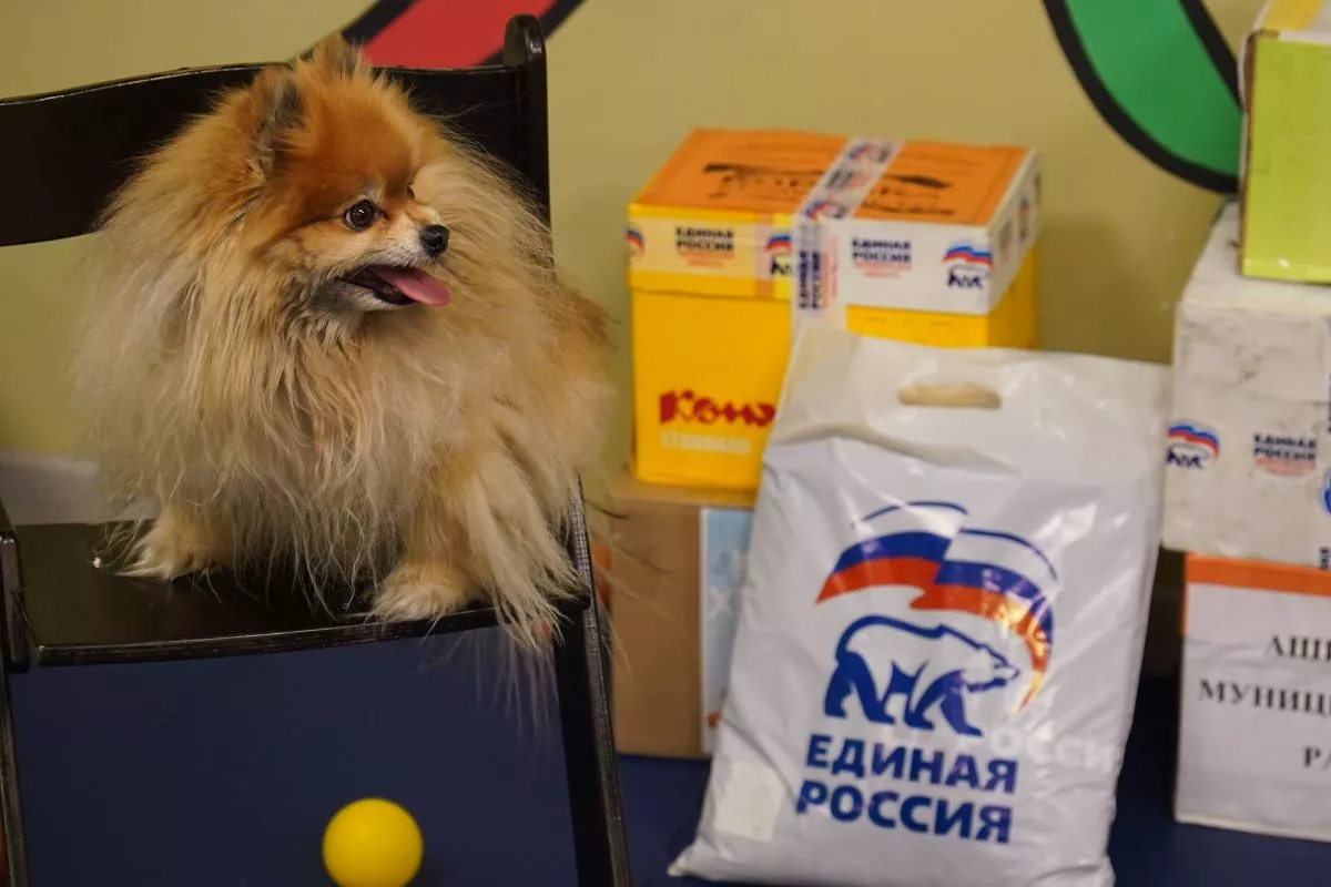 Сотрудники Центра зоотерапии «Лапа Надежда» поблагодарили челябинских единороссов за помощь в ремонте уникального пространства