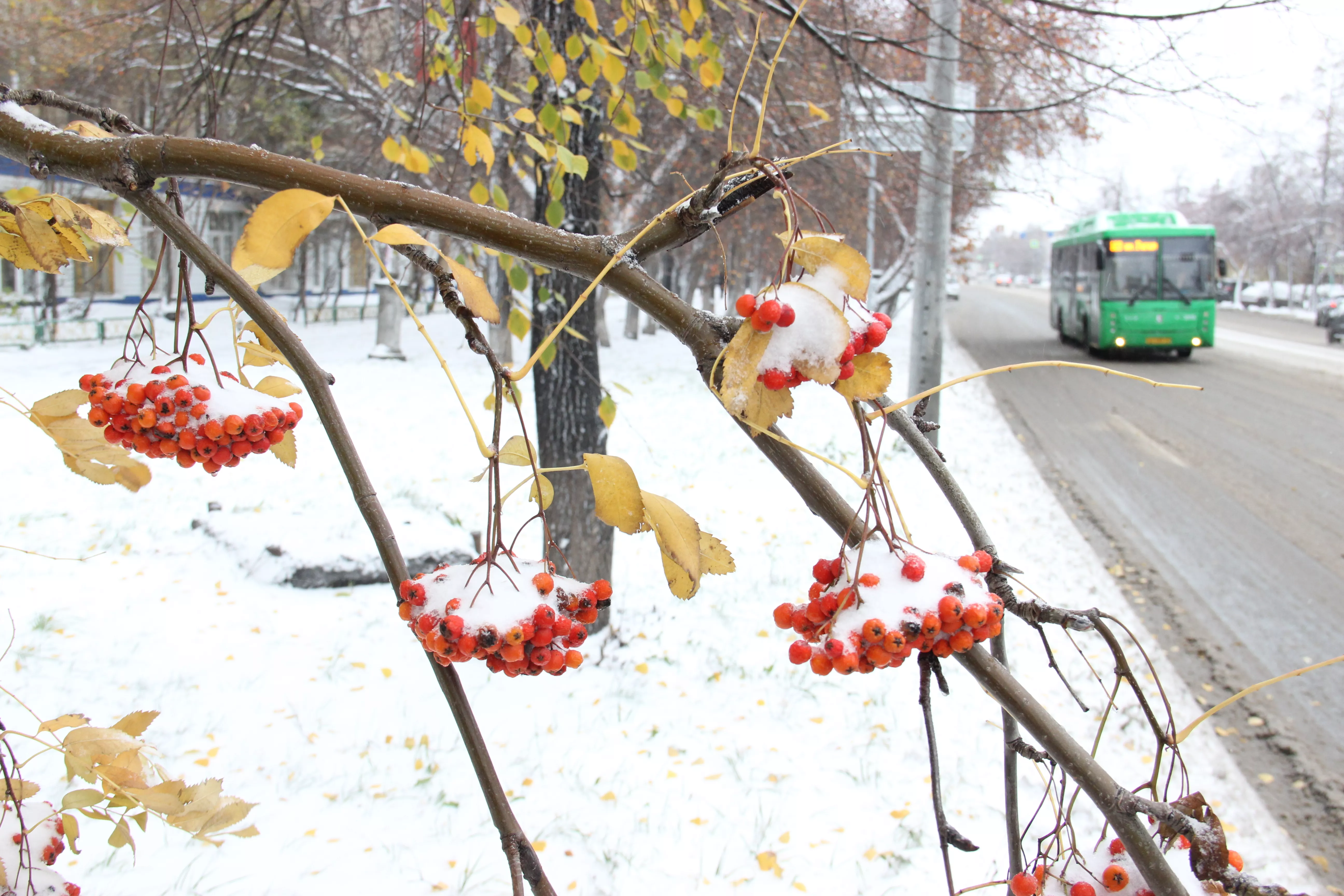 Информация о работе общественного транспорта в Копейском городском округе