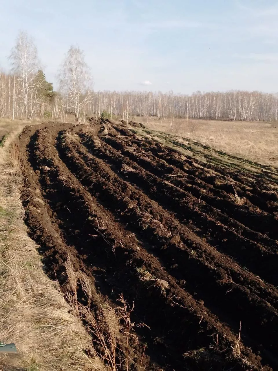 Минерализованные полосы – надежный щит Копейска от ландшафтных пожаров