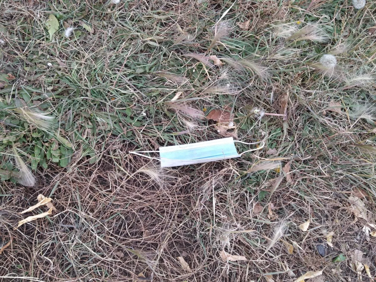 Российские иммунологи рассказали о выработке иммунитета к коронавирусу у части переболевших ОРВИ