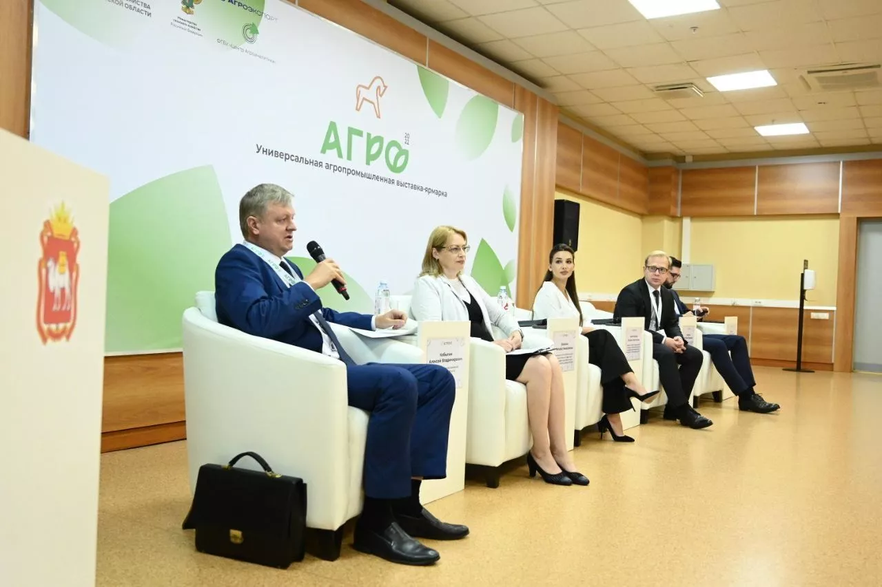 Как санкции помогают развитию экономики внутри страны?