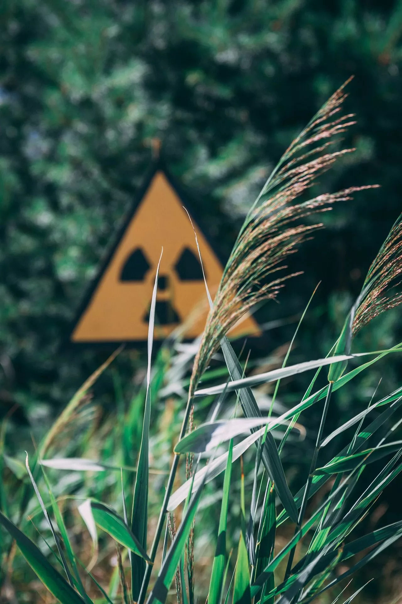 В Челябинске обнаружили превышение радиационного фона