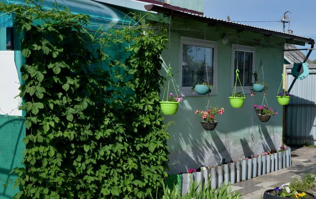 Как узнать, подходит ли дом и земельный участок под действие дачной амнистии