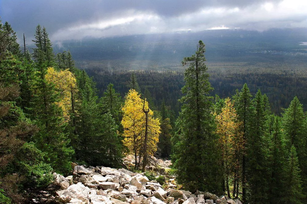 О Южном Урале – по данным переписей населения