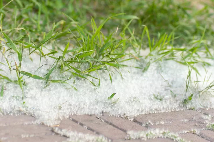 Жителей Копейска предупредили об опасности горящего тополиного пуха