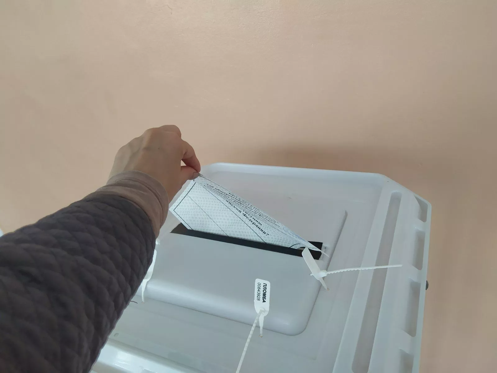  Жители Южного Урала смогут проголосовать за местных депутатов из Москвы