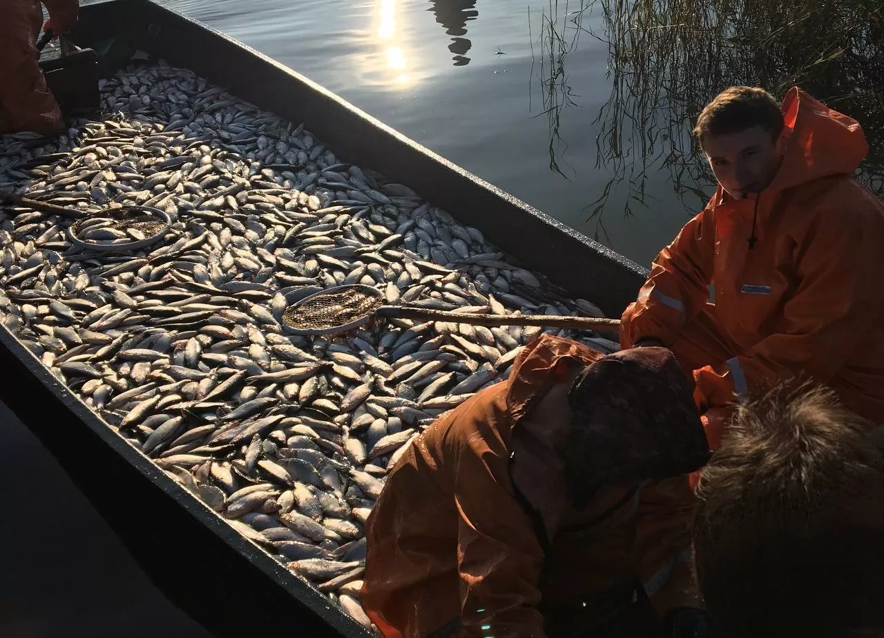 42 предпринимателя получили гранты с помощью центра «Мой бизнес»