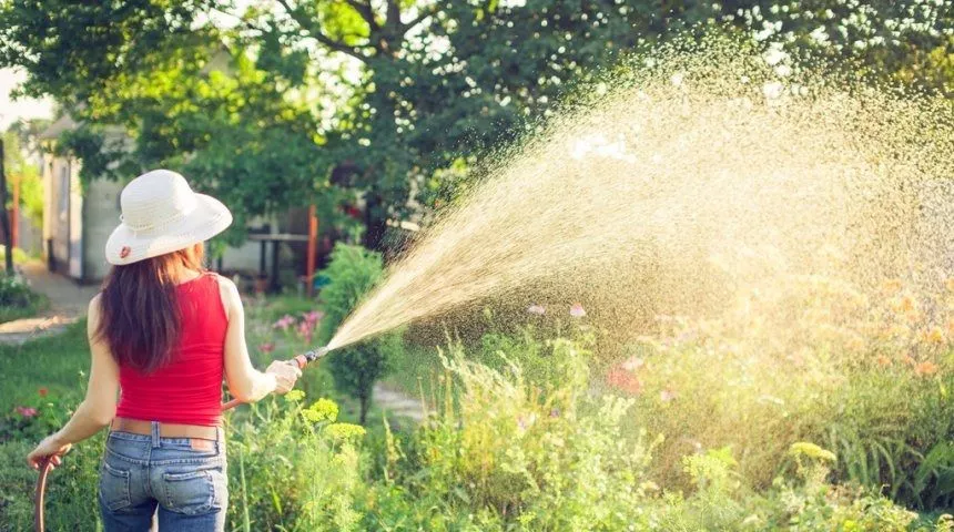 Как рассчитывается плата за полив огорода? МУП «КСВВ» разъясняет систему расчета 