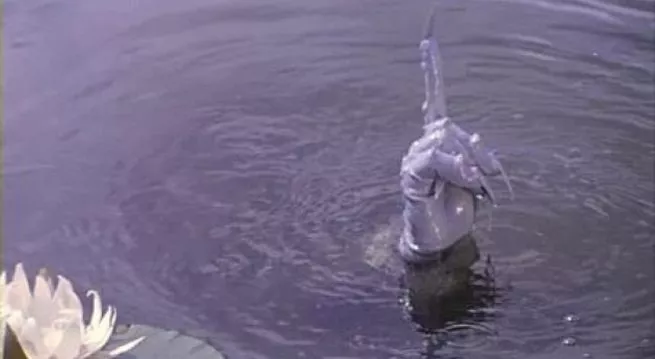 Оплачивайте штрафы вовремя!