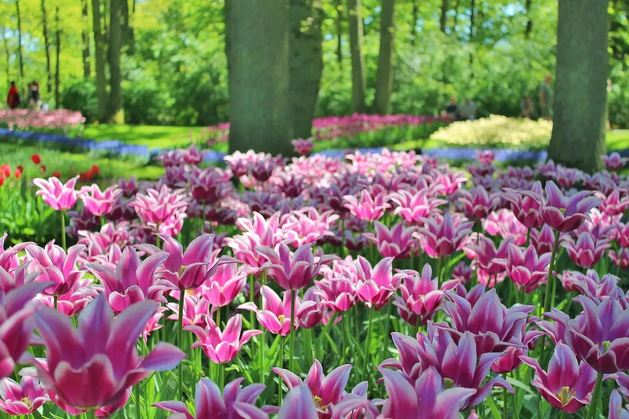 В Челябинске благоустроят территорию возле Дворца спорта «Юность»
