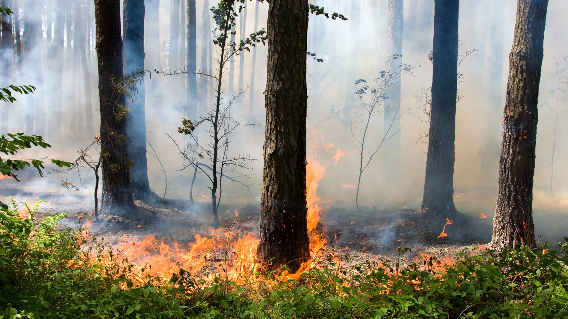 Заместитель губернатора Челябинской области Сергей Сушков сегодня по поручению губернатора региона работает в Карталинском районе