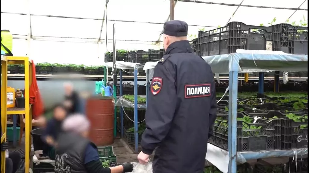 Массовые проверки выявили серьезные нарушения миграционного законодательства в Копейске