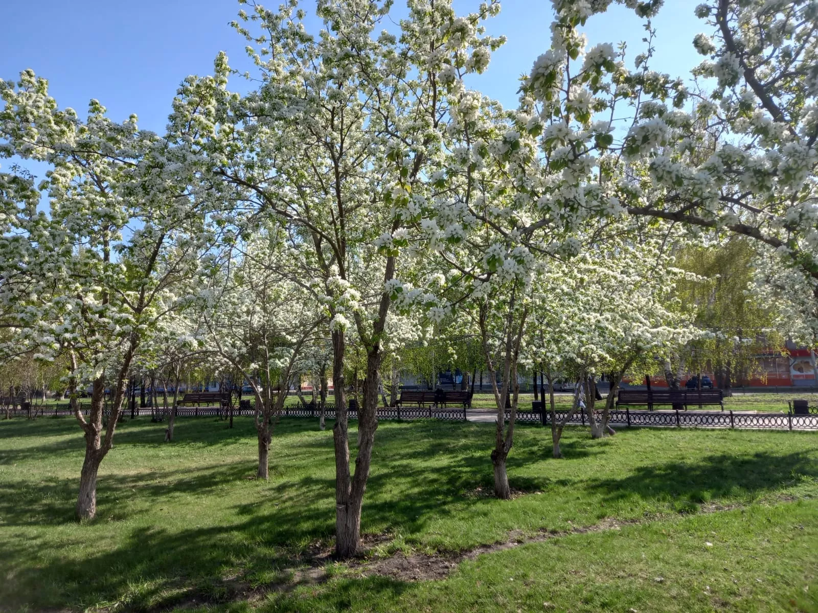 Результаты голосования в рамках «Комфортной городской среды»