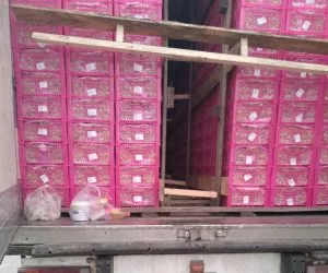 На границе Челябинской области остановили ввоз винограда из за нарушений правил