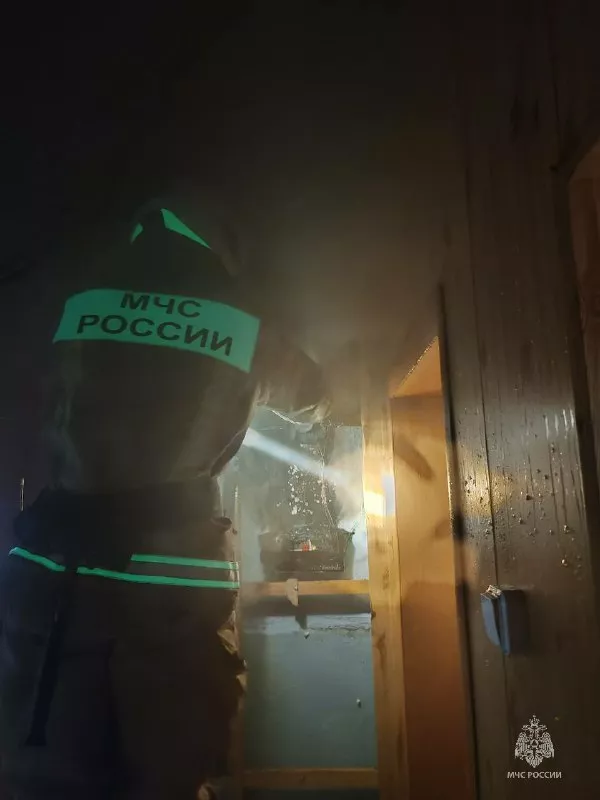 Оперативные действия сотрудников МЧС предотвратили распространение пожара