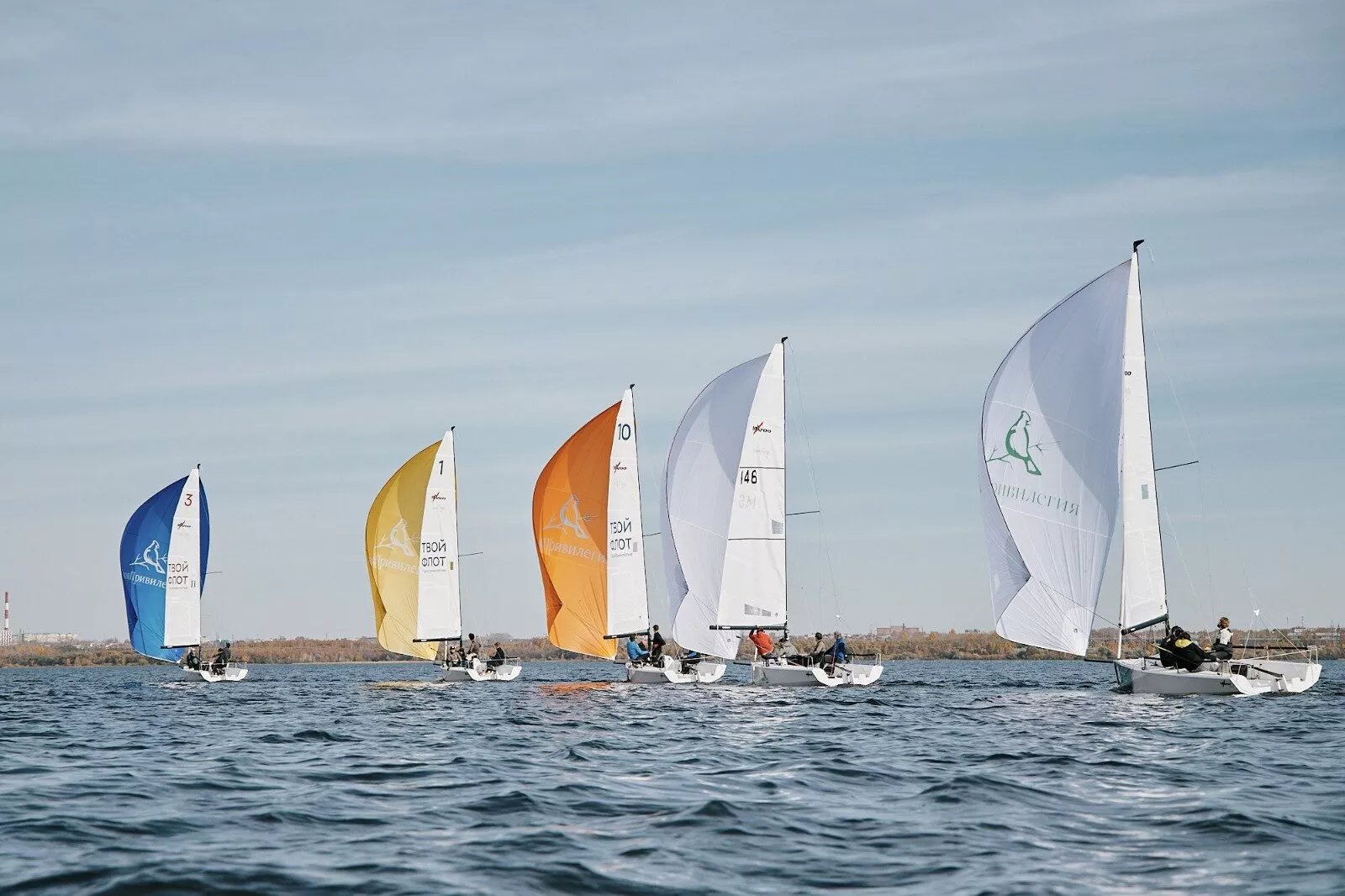 Первый чемпионат области по парусному спорту прошел в яхт-клубе «Твоя Привилегия»