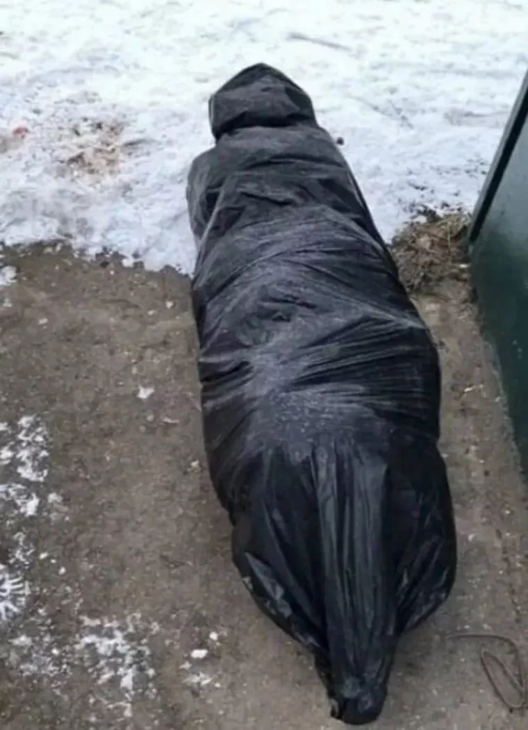 Жители Озерска приняли за труп упакованную елку