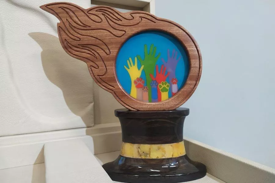 Дворняжка Люсьена из Златоуста стала номинантом международной премии «Лохматый Оскар»