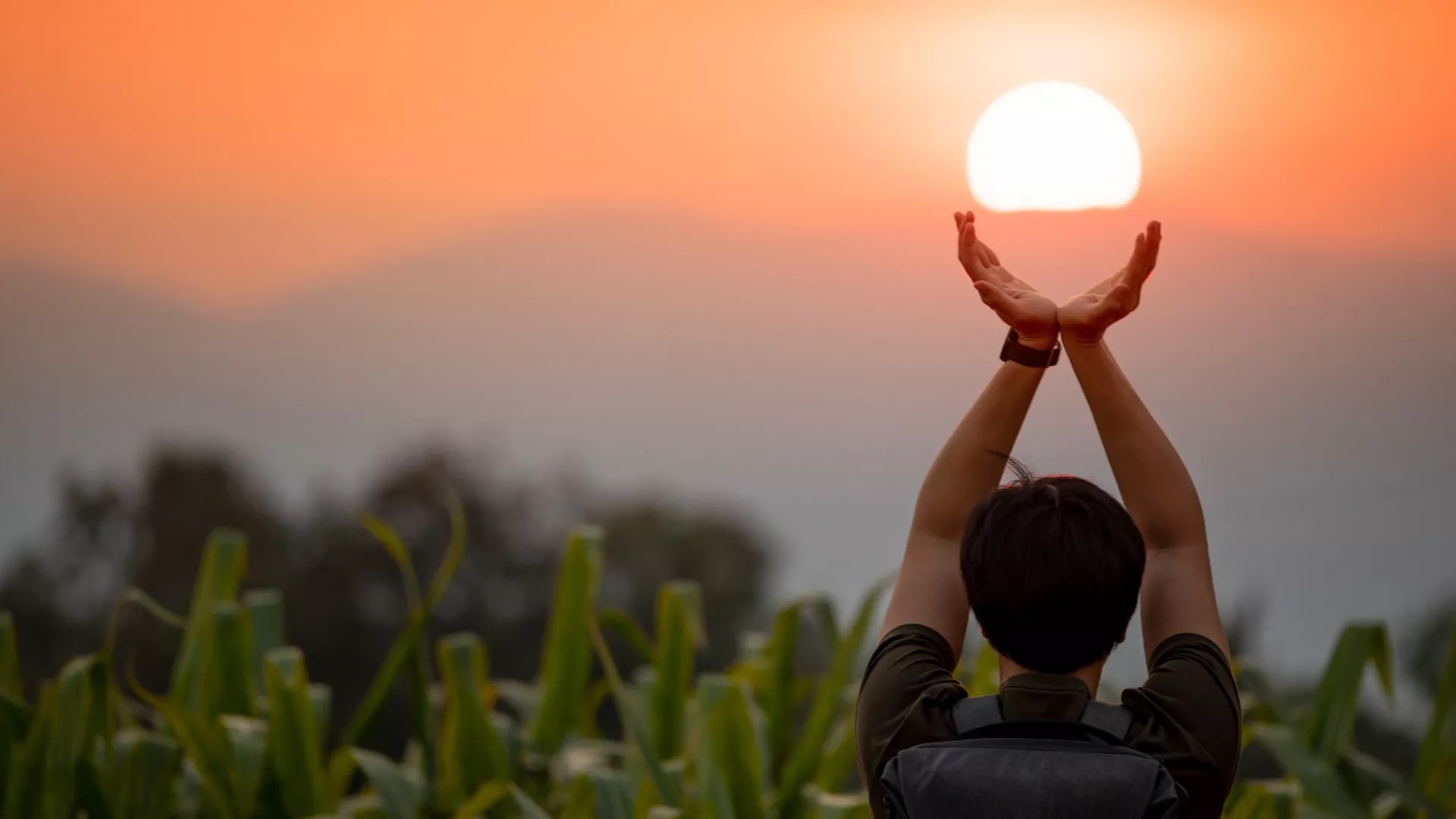 Солнцестояние 21 июня: формируем сценарий на ближайшие полгода