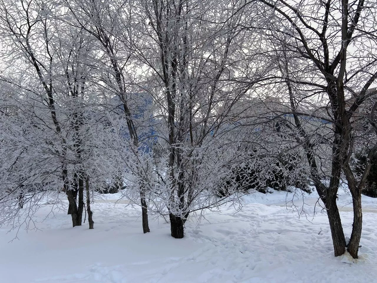 В Челябинске и Копейске 10 февраля дети не пошли в школу
