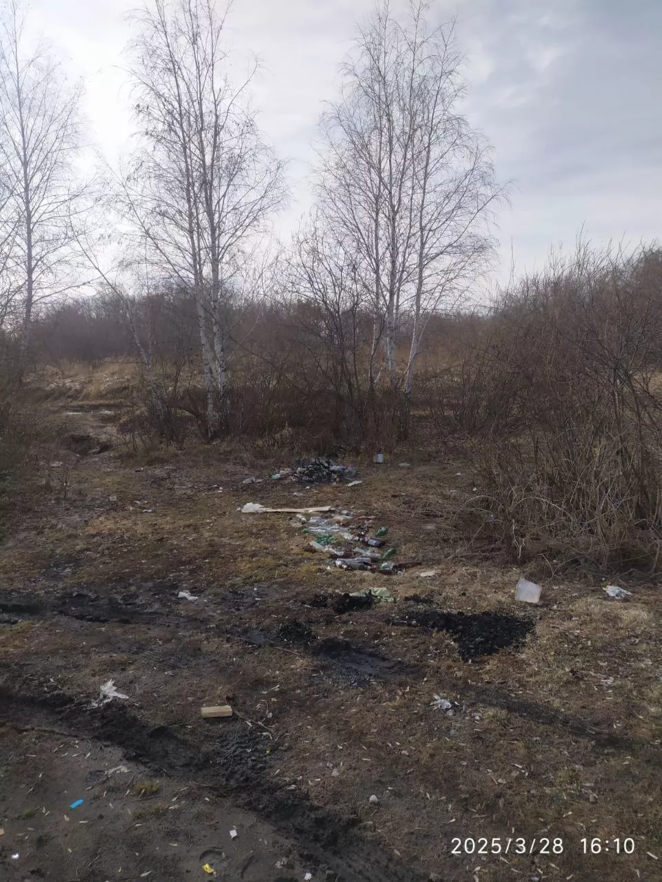 Администрация Копейска борется с несанкционированным сбросом мусора: нарушителей выявляют камеры