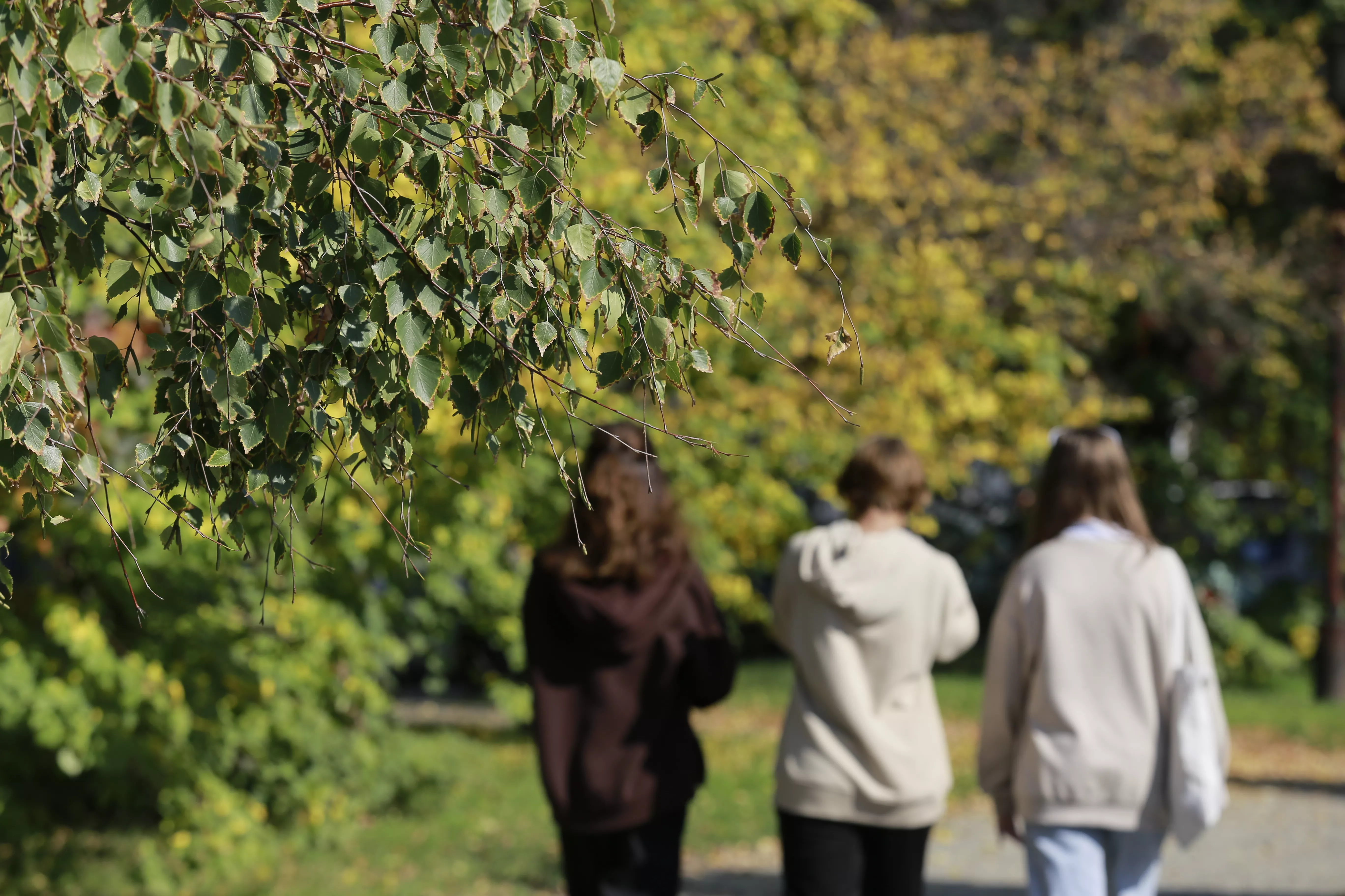 Жители УрФО рассказали, с кем хотят жить по соседству и о чем молчат в лифте