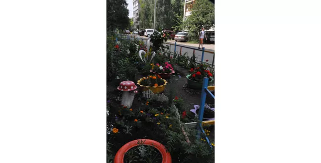 Газон у дома